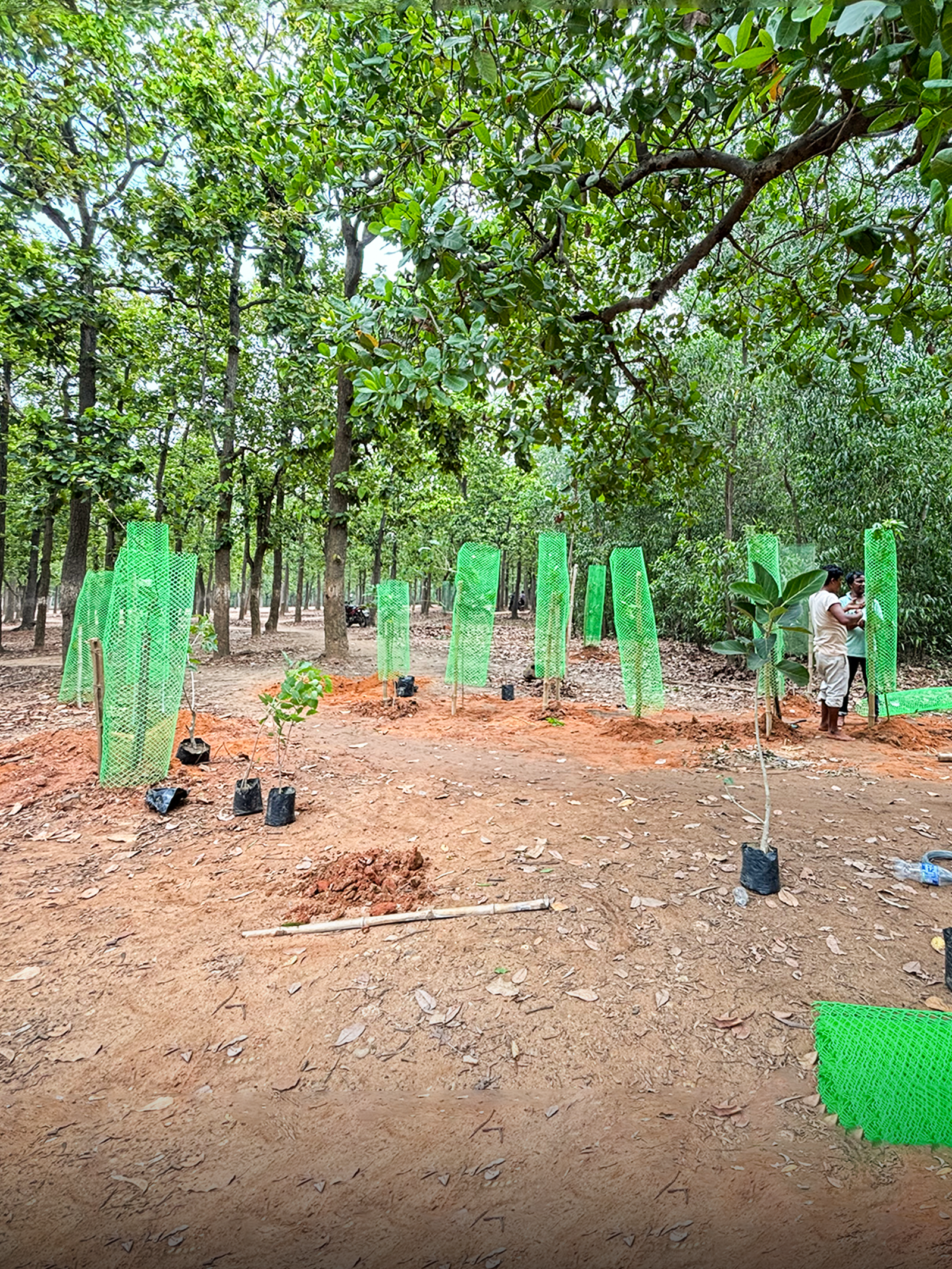 mission clean shantiniketan