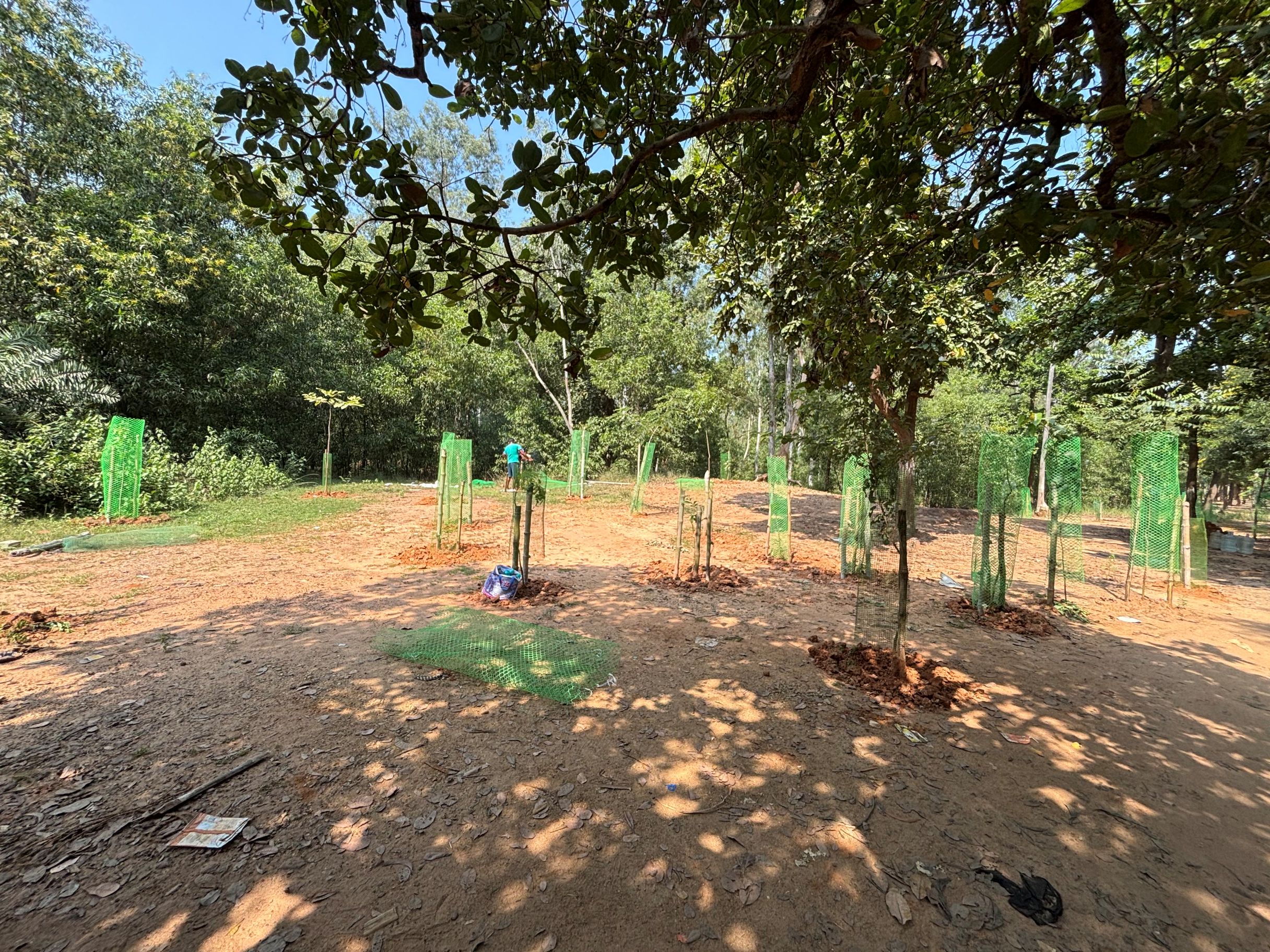 Support Brikkho Foundation